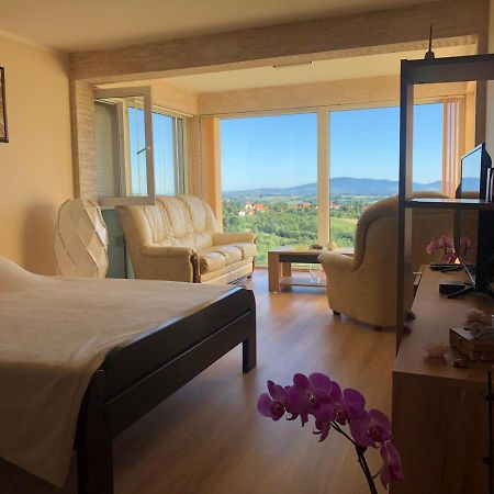 Vila Pogled Arandelovac Zewnętrze zdjęcie