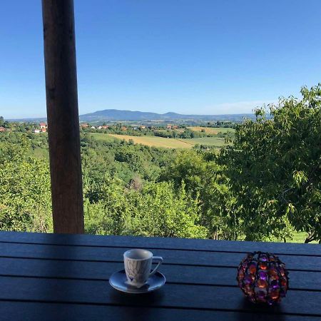 Vila Pogled Arandelovac Zewnętrze zdjęcie