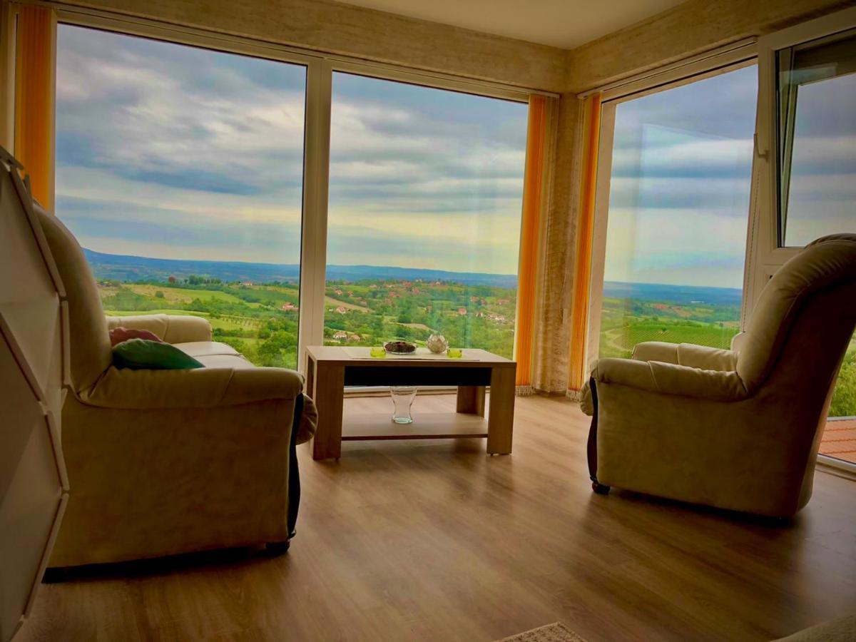 Vila Pogled Arandelovac Zewnętrze zdjęcie