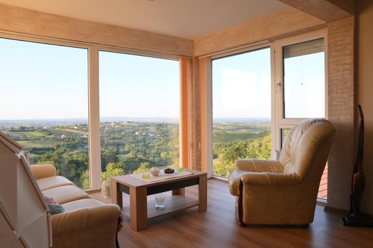 Vila Pogled Arandelovac Zewnętrze zdjęcie