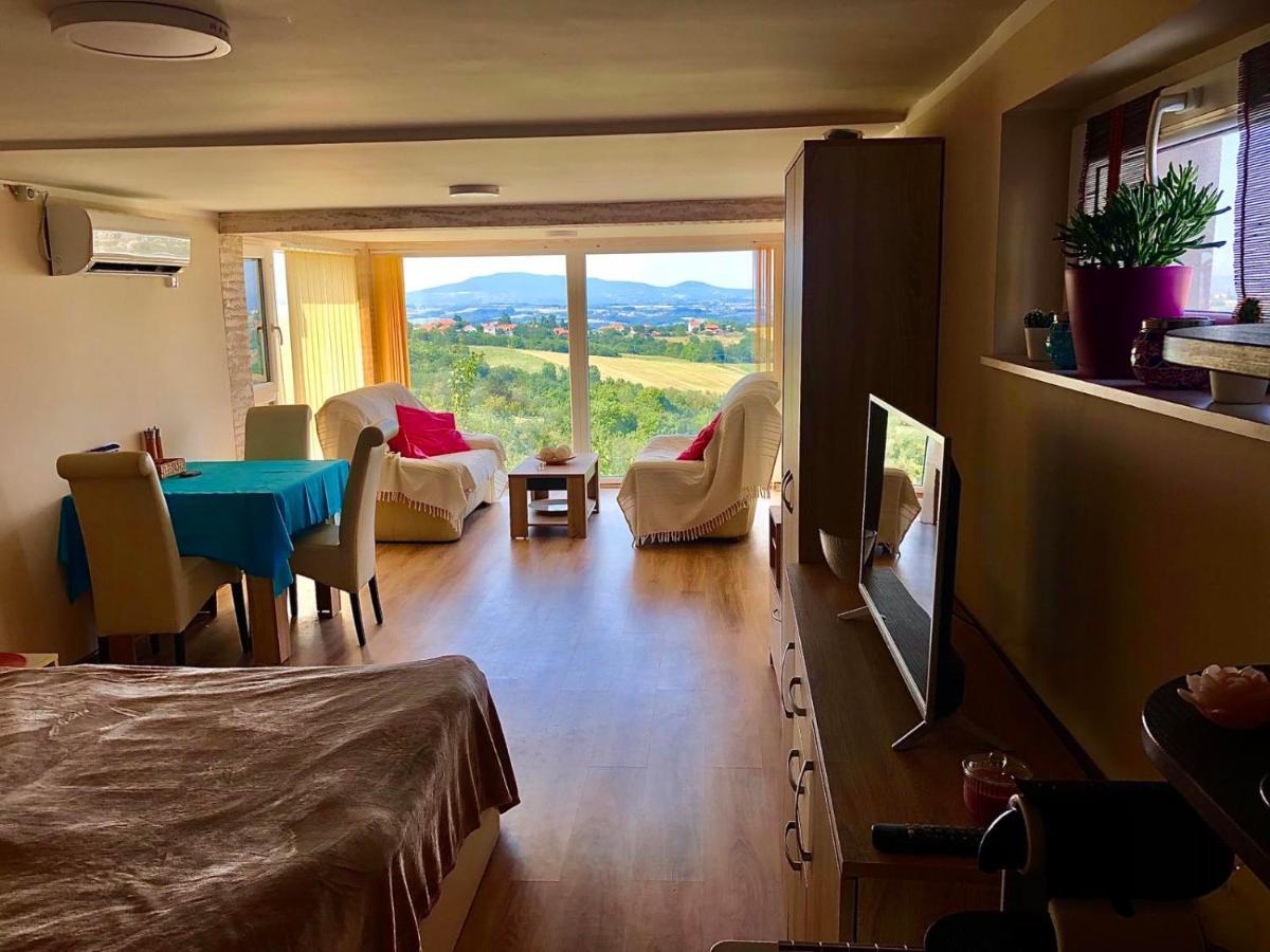 Vila Pogled Arandelovac Zewnętrze zdjęcie