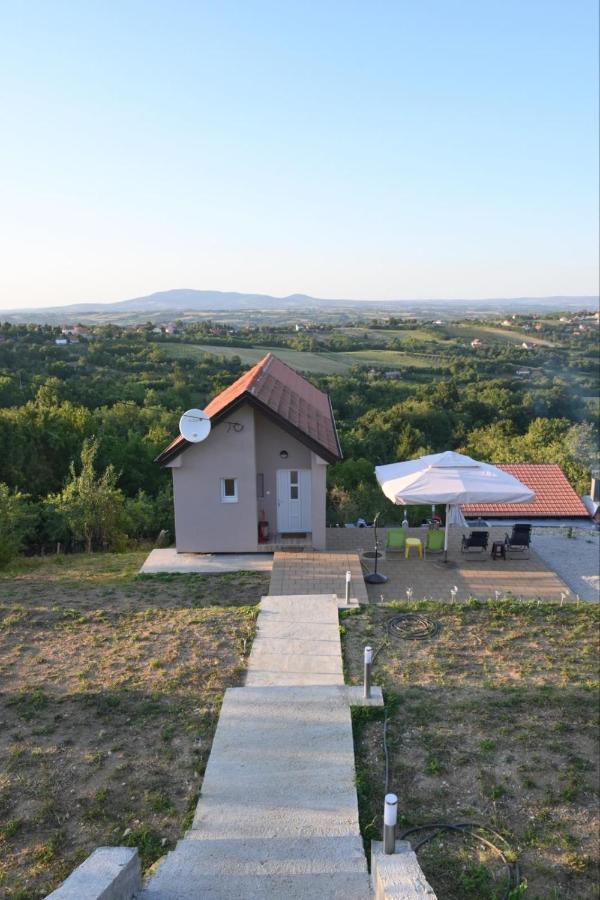 Vila Pogled Arandelovac Zewnętrze zdjęcie