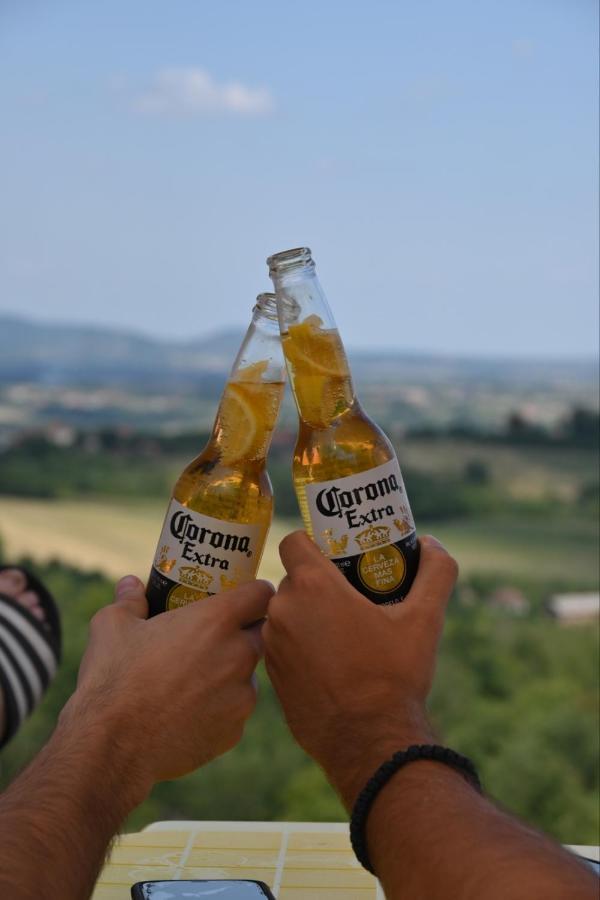 Vila Pogled Arandelovac Zewnętrze zdjęcie