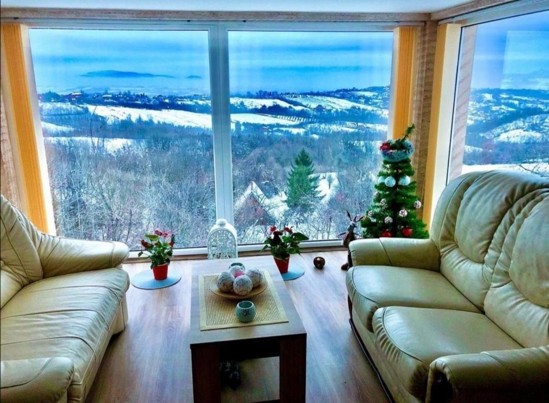 Vila Pogled Arandelovac Zewnętrze zdjęcie