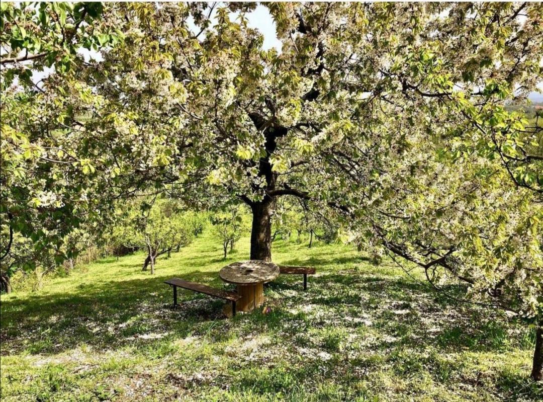 Vila Pogled Arandelovac Zewnętrze zdjęcie
