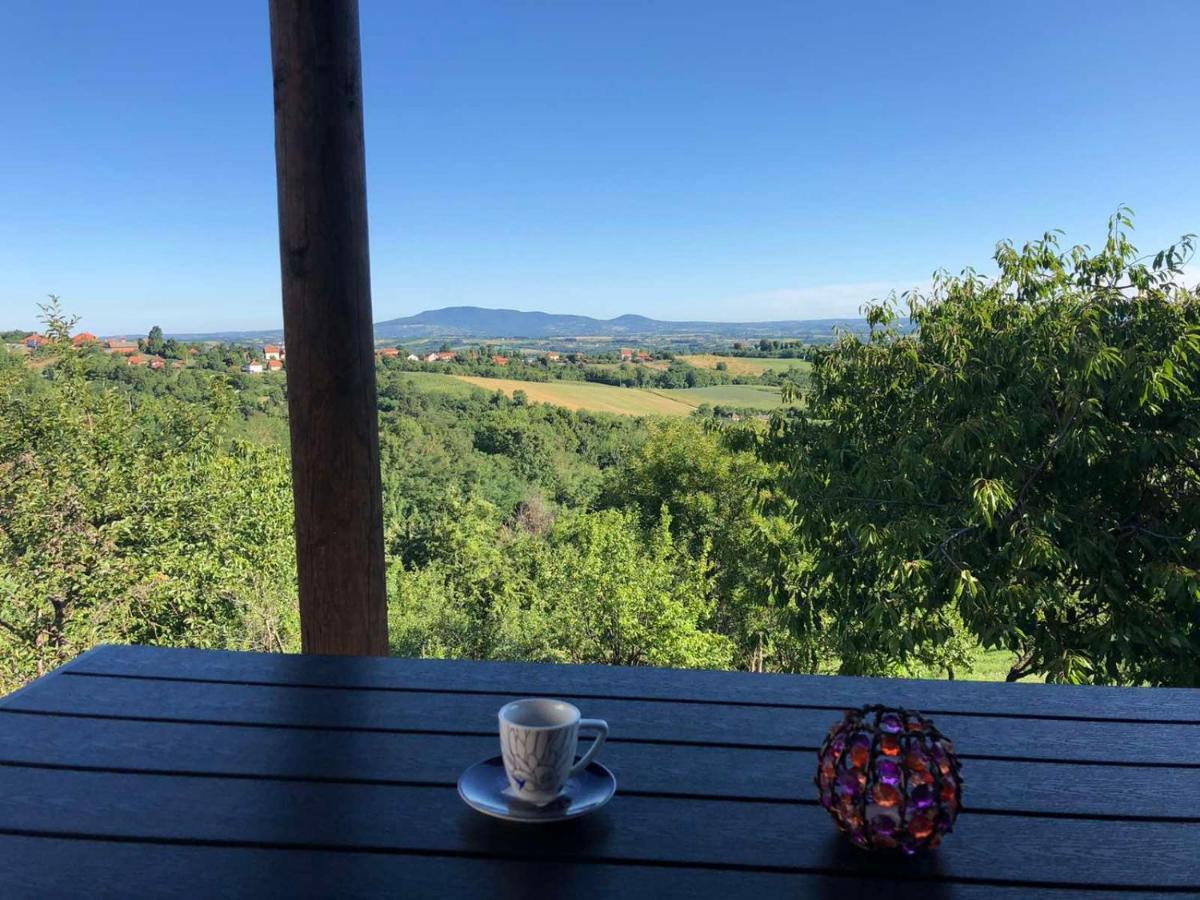 Vila Pogled Arandelovac Zewnętrze zdjęcie